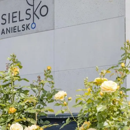 Sielsko Anielsko Tatry Σαλέ